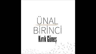 Ünal Birinci - Hayat Budur Resimi