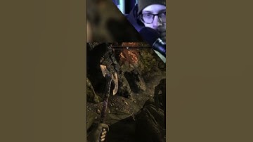 SKYRIM TOGETHER | I Can Sell That! Skyrim Coop @gilgomush #skyrim #skyrimtogether