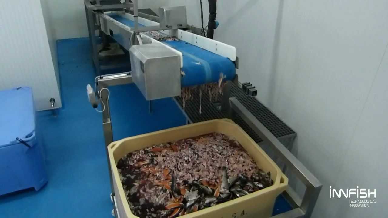 SUBPRODUCTOS DEL PESCADO EPUB DOWNLOAD SUBPRODUCTOS DEL PESCADO EPUB DOWNLOAD