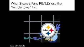 The REAL reason the Steelers Fans wave that “terrible towel”