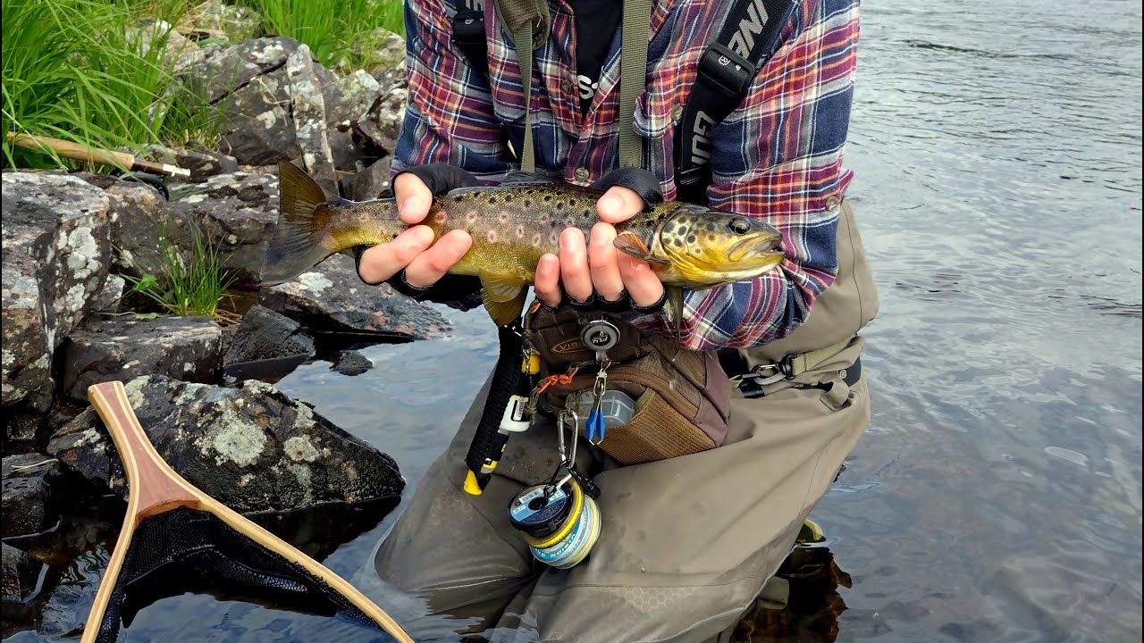 Fiskeresa Jämtland 2024.