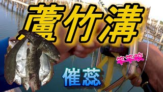 海上前打放流**原來魚都躲在這裡喔**一直咬真不想回家#釣魚#蘆竹溝#筏釣#前打#fishing#北門區#釣魚人