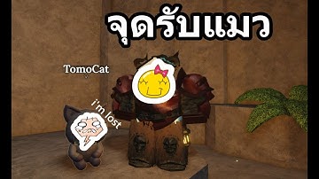 เควสหาแมวหาย How to Find TOMO