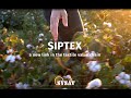 Siptex  a new link in the textile value chain