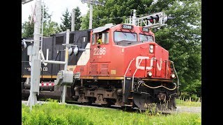 CN 460 CN 2286 StPaulin 20 July 17 81 cars