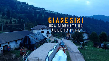 Che frutta si coltiva in montagna?