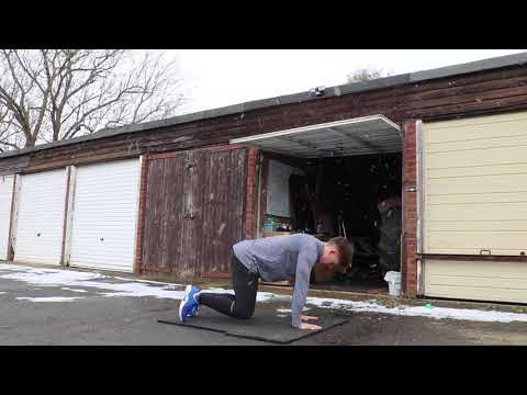 Bear Plank - UM GYM Exercise Library
