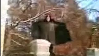 ай ай ай какой плохой мальчик что он делает а кто же это бетмент оригинал