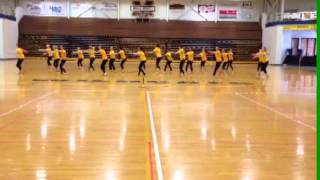 Harlem Shake - Dance Team Edition