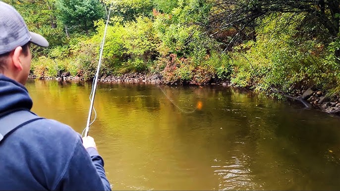 Salmon Fishing with Skein - BOBBER DOWNS + How I Cure Bait that Salmon BITE  