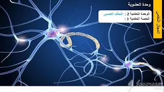 درس بنية العصب و الليف العصبي أولى ثانوي جذع مشترك علوم و تكنولوجيا.