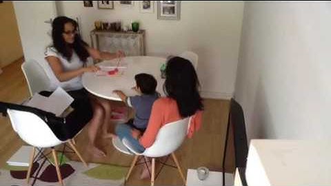 The Bayley-III Neurodevelopmental Assessment, Swati Bhagat