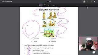Annotating PDFs on Google Drive using a Chromebook