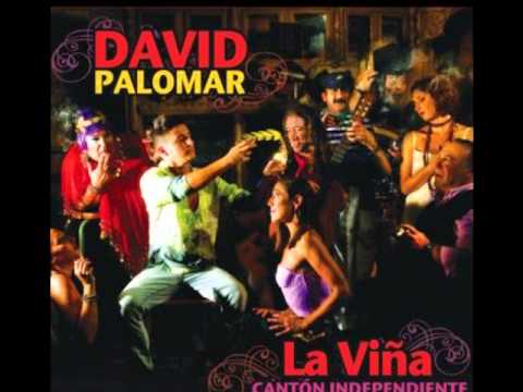 David Palomar - Doa Jerez (Bulera)