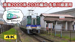 南海2000系 2036F 多奈川線 ワンマン運転【4K】