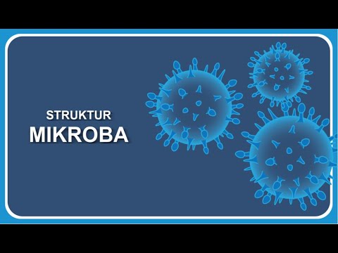 Video: Kepentingan Kualiti Rangkaian Genom Kepada Genomik Komparatif Mikroba