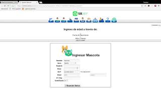SIEVET GESTION VETERINARIA screenshot 5