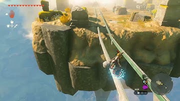 [DAY 541] of finding one korok seed in TotK everyday until we get them all