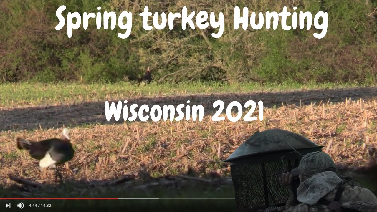 Spring Turkey Hunting Wisconsin Spring Turkey Hunting 2021 3rd Season
