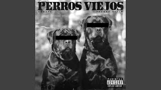 Perros Viejos - Achepe and Franky Style