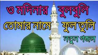 ও মদিনার বুলবুলি।। O Madinar bulbuli