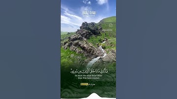 #تلاوة #جمعة_مباركة #قران #قرآن #quran #هيثم_الدخين #عبد_الرحمن_مسعد