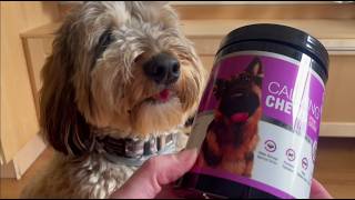 Calming Product for Anxious Pups Like Chewie!  | Calming Chews for Dogs 50pc Dog Calming Treat and B