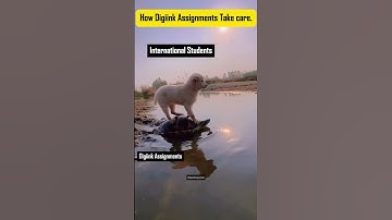 Struggling with assignments? We