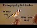 Photographing Goldfinches; the easy way