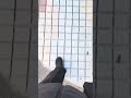 ねむい