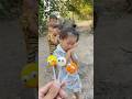 What Will Happen If You Close Your Eyes And Eat The Frog Lollipop Shorts Cute 