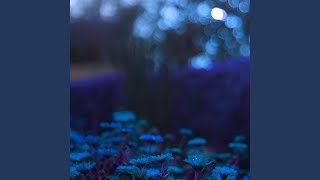 Sophisticated Acoustic Guitar Music - Vibe for Literally Powers
