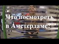 Едем в Амстердам | Гладим Жирафа в Зоопарке