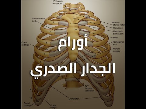 فيديو: ماذا يعني الهيكل العظمي الغضروفي؟