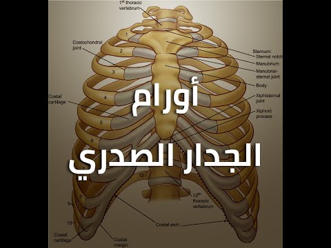 فيديو: ما هو فوق الضلع من الناحية الطبية؟