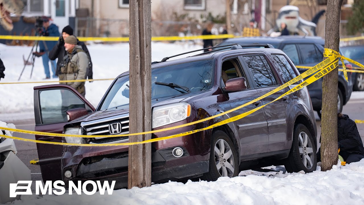 Newly released records on Renee Good's death detail chaos during shooting: NYT