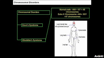 2. 12B05.7 CV2 Chromosomal Disorders