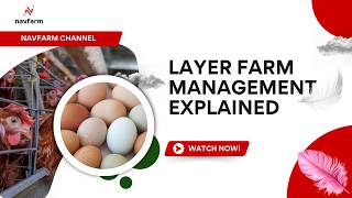 Layer farm management Advance Layer Management