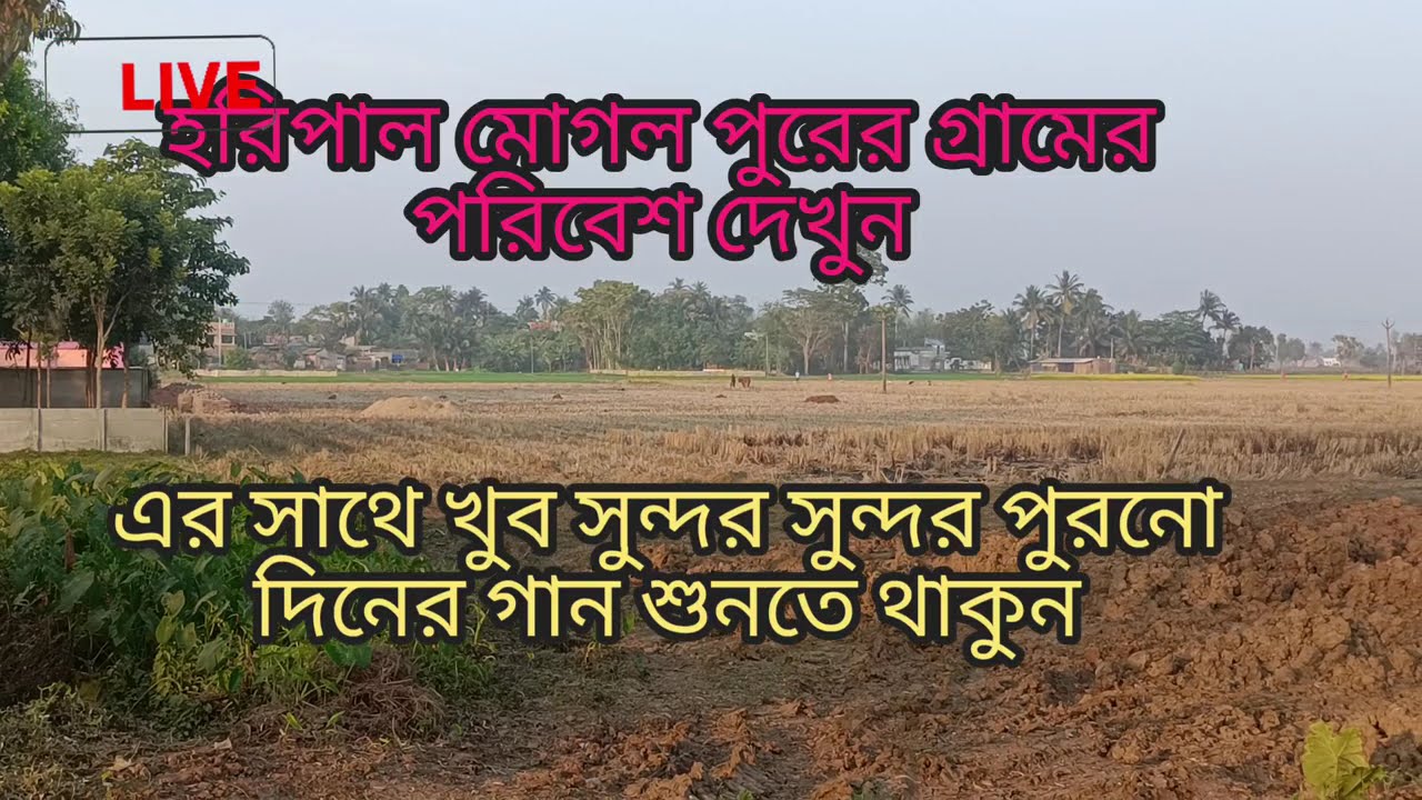 বাছাই করা কিছু বাংলা রোমান্টিক গান | Non-stop Bengali Song | Bengali Romantic Song 