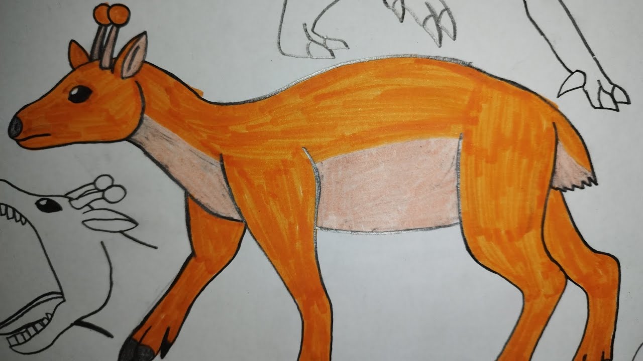 Sound Effects-Orennorthern Pudu 