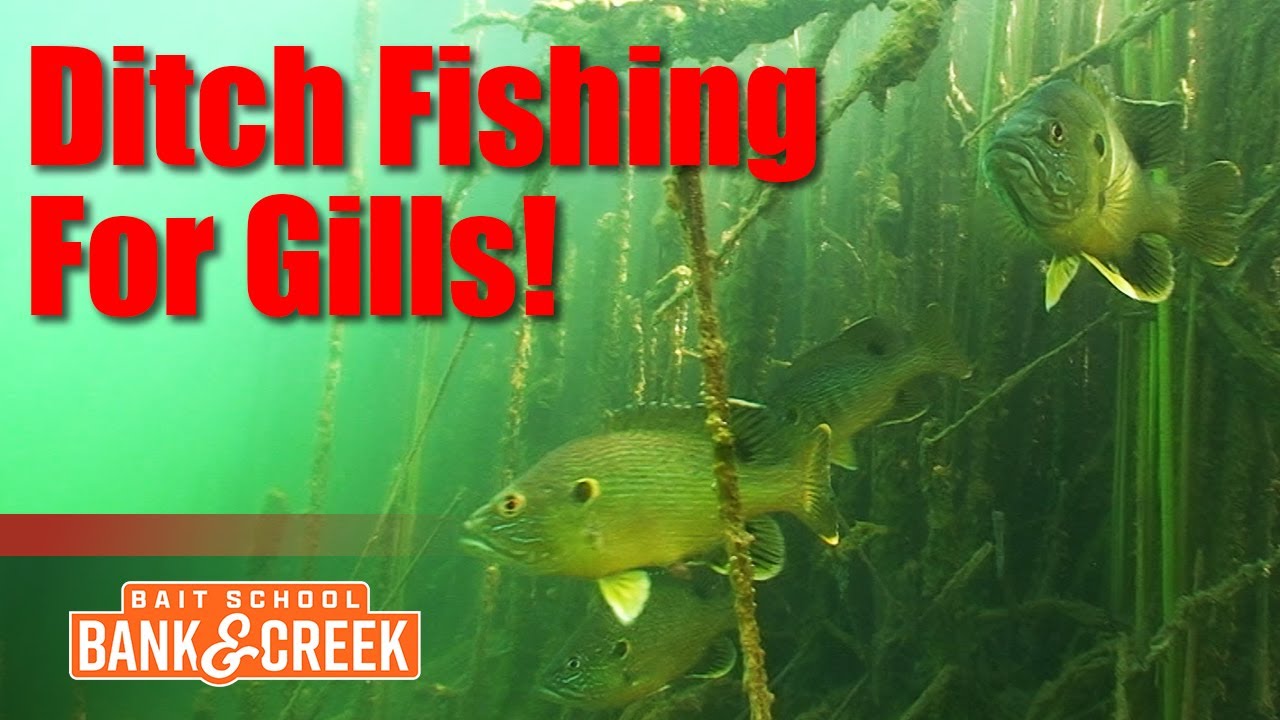Bank fishing for Crappie in the winter with bobber and jig