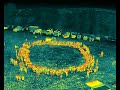 DJI 20250623100212 0017 T DJI 20250623100212 0017 T