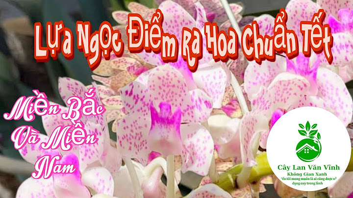 Lan nghinh xuân còn gọi là gì