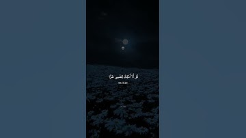 القاريء عبد الرحمن بن مسعد . سورة يونس الآية ٤٩ .