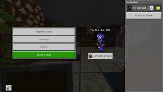 Minecraft - Chill Stream - Playing with souleater