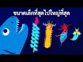 50+ สิ่งมีชีวิตที่พิสูจน์ว่าเราไม่รู้อะไรเกี่ยวกับมหาสมุทรเลย