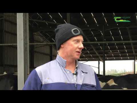 Eoghan McCarthy - Kerry Agribusiness Supplier