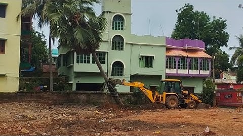 JCB VS BIG TREE ||  Powerful JCB Pushing Down A BigTree || JCB VIDEO