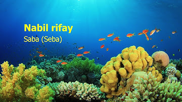 Nabil Rifay   Surah Saba Seba نبيل رفاعي   سورة  سبأ