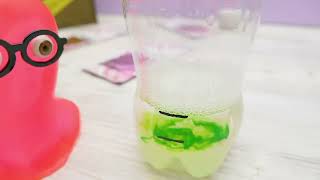 Super Fast Slime Recipe! DIY 30 SECONDS Bottle Slime